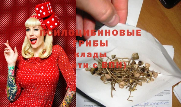 стаф Арсеньев
