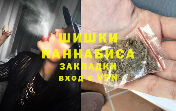 стаф Арсеньев