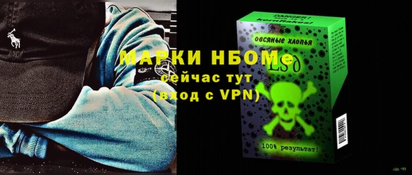 стаф Арсеньев