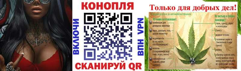 блэк спрут ONION  shop наркотические препараты  Баймак  МАРИХУАНА SATIVA & INDICA  где купить наркоту 